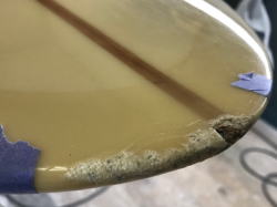 �I�[�o�[�z�[�� TANNER 30_1